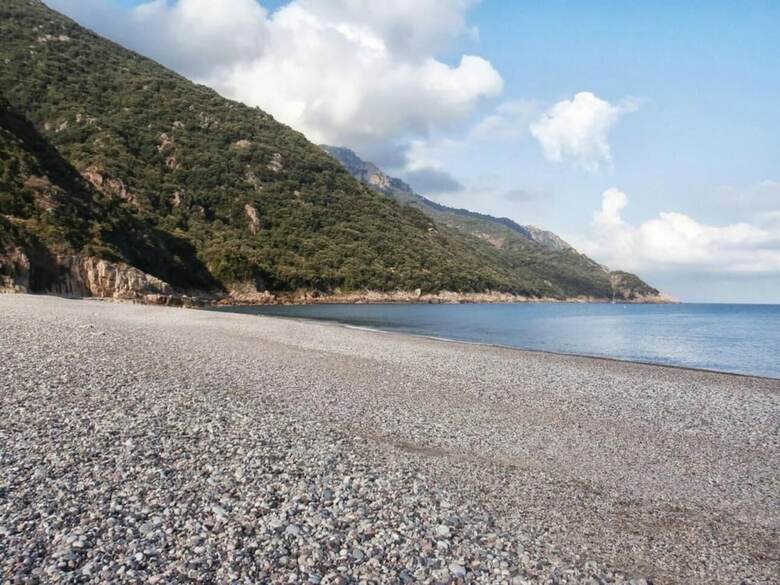 Hotel H�tel Ideal