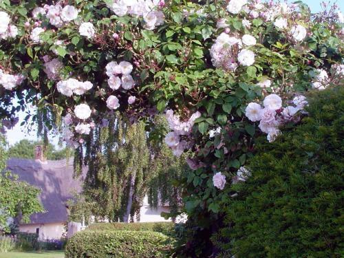 Agroturismo Chequer Cottage