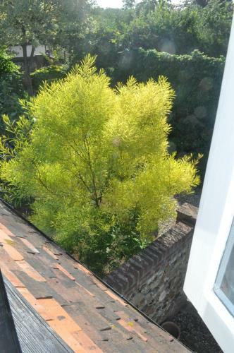 Agroturismo Chequer Cottage