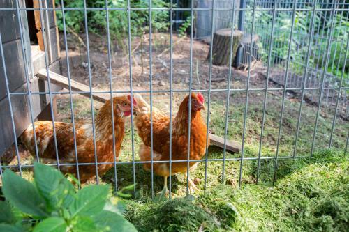 Agroturismo Koepel Enschede