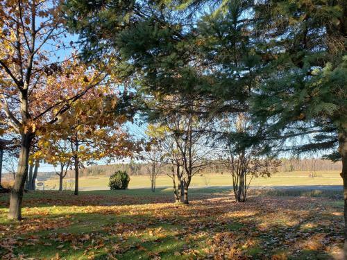 Bed & Breakfast G�te Le Grandelinois