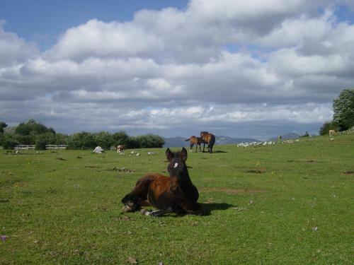 Agroturismo Casas De Aldea Valle De Bueida