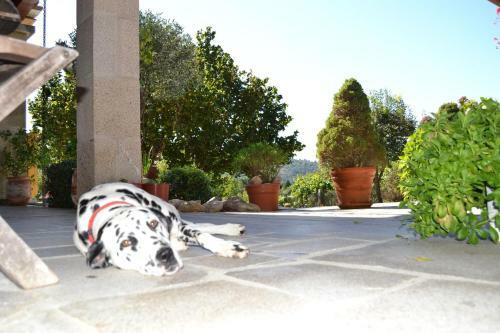 Agroturismo Casa Brues