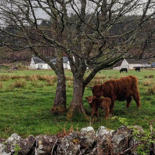 Agroturismo Raasay House