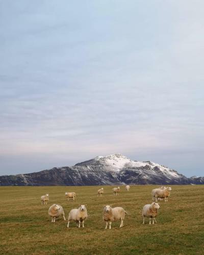 Agroturismo Raasay House