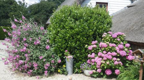 Bed & Breakfast La Musardise