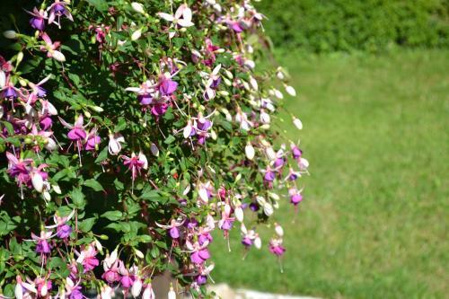 Bed & Breakfast Le Moulin De Lusseau