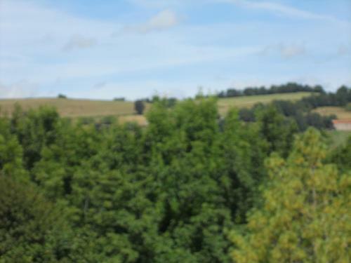 Bed & Breakfast Ch�teau De La Moissetie