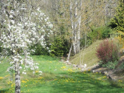 Bed & Breakfast Ch�teau De La Moissetie