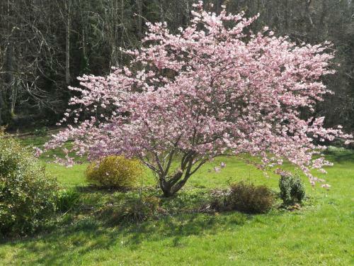 Bed & Breakfast Ch�teau De La Moissetie