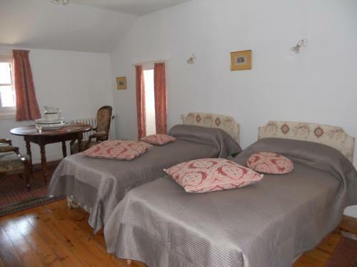 Bed & Breakfast Ch�teau De La Moissetie