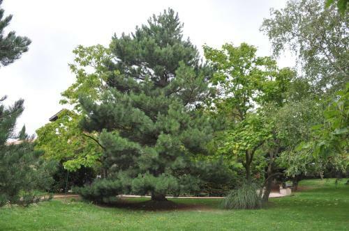 Bed & Breakfast Domaine De Hurlevent