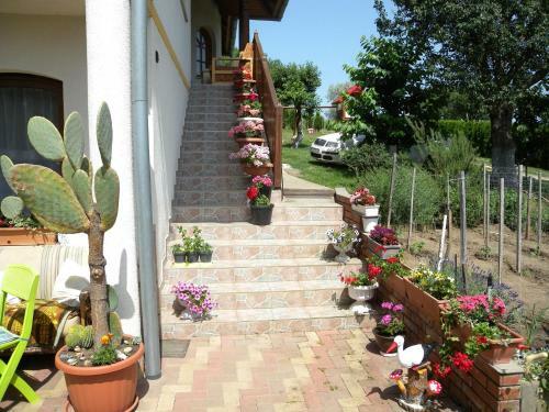 Apartment Fonyod 1