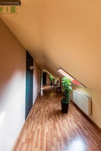 Hostal B�stya Panzi� �s �tterem