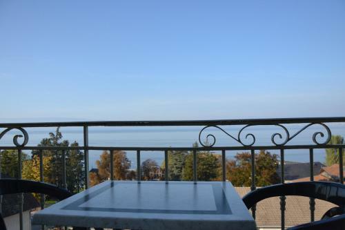 Hotel H�tel Evian Express - Terminus
