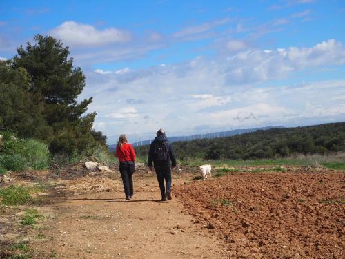 Agroturismo Casa Rural Ca La Fineta