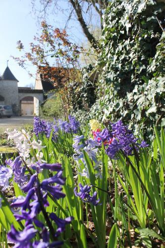 Bed & Breakfast Manoir De La Foulquetiere