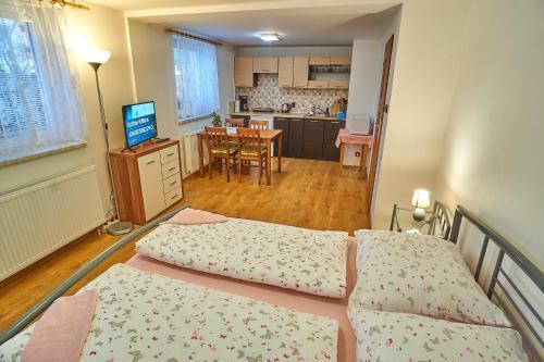 Hostal Penzion Mona