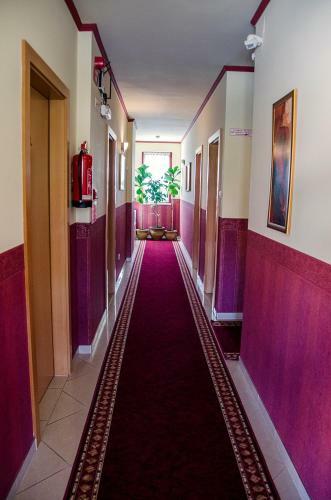 Hostal Arany Patk� Panzi� & �tterem