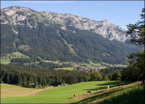 Apartamento Kal�nhof