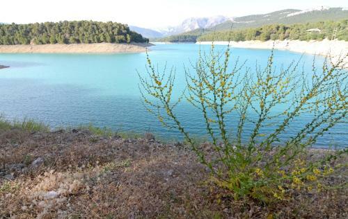 Agroturismo Cortijo El Rey