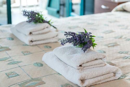 Agroturismo Themis House