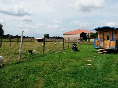 Agroturismo Ma Kabane