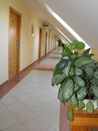 Hotel J�zsi B�csi Sz�llod�ja