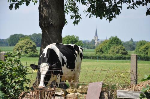 Agroturismo De Traverse