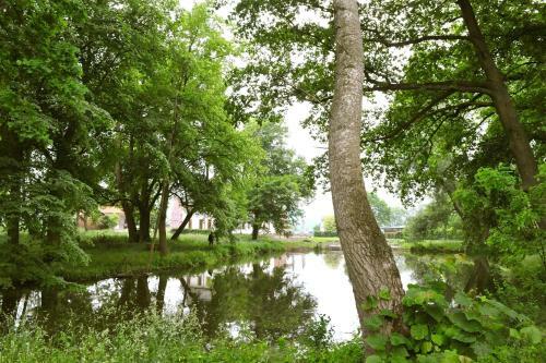 Hotel G�stehaus Saline