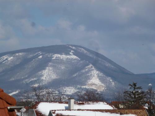 Bed & Breakfast Edelweiss Panzi�
