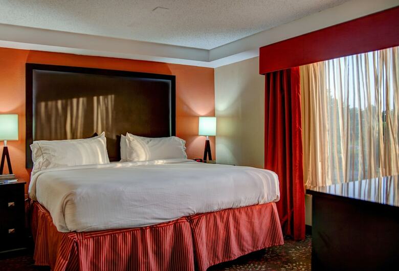 Hotel Holiday Inn Express Tyler South