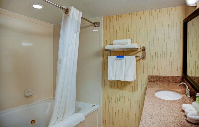 Hotel Holiday Inn Express Tyler South