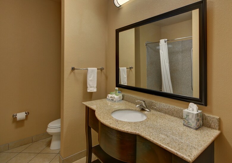 Hotel Holiday Inn Express Tyler South