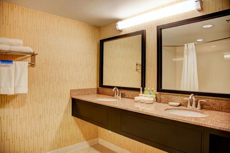Hotel Holiday Inn Express Tyler South