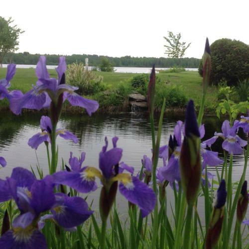 Bed & Breakfast G�te 40 Laverdure