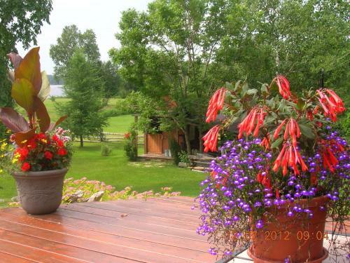 Bed & Breakfast G�te 40 Laverdure