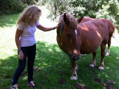 Agroturismo Mol� De Bramasacs