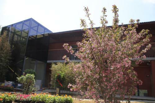 Yijia Youth Hostel