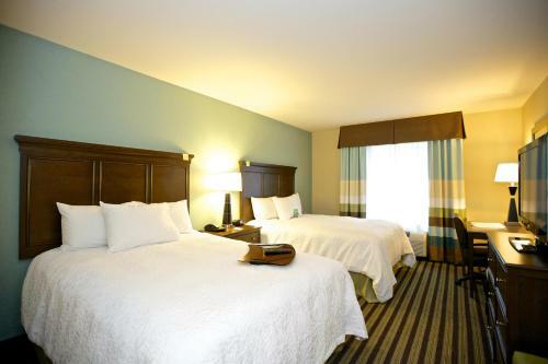 Hotel Hampton Inn And Suites Adairsville/calhoun Area