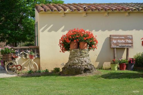 Agroturismo Mas Horta Prim
