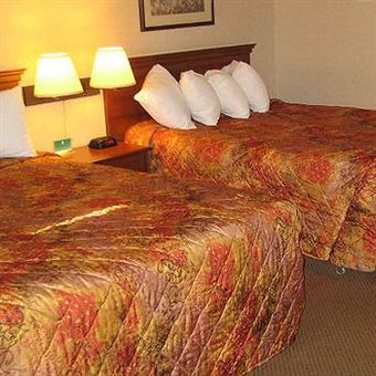 Motel Magnuson Copper Crown