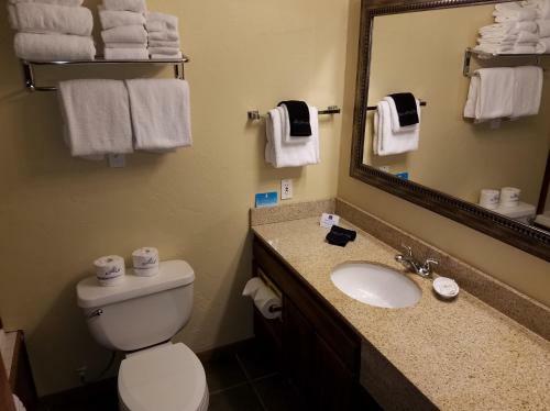 Hotel Best Western Branson Inn Next To Silver Dollar City