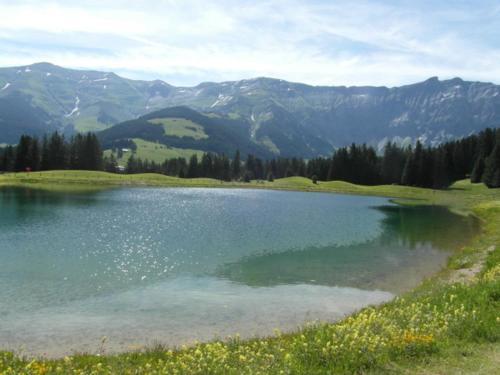 Apartamentos Cgf Megeve
