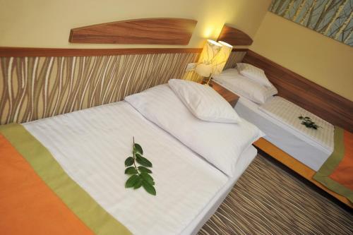 Park Hotel Gyula