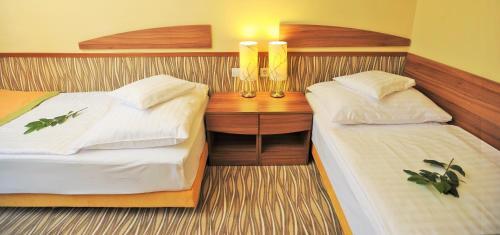Park Hotel Gyula