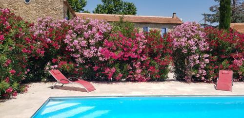Bed & Breakfast La Pastorale