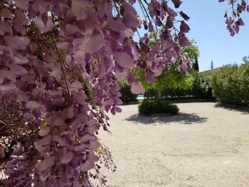 Bed & Breakfast La Pastorale