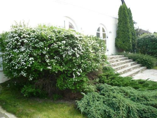 �reg Malom Hotel