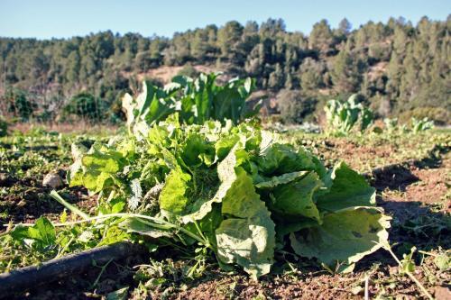 Agroturismo Hort De Mao